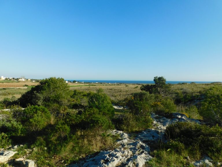 Cammini pugliesi, è boom di turisti